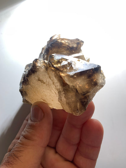 Quartz fumé (morion) à fenêtre ou quartz gwindel - Mont Blanc, France - 100 x 60 x 50 millimètres - 268,2 grammes !