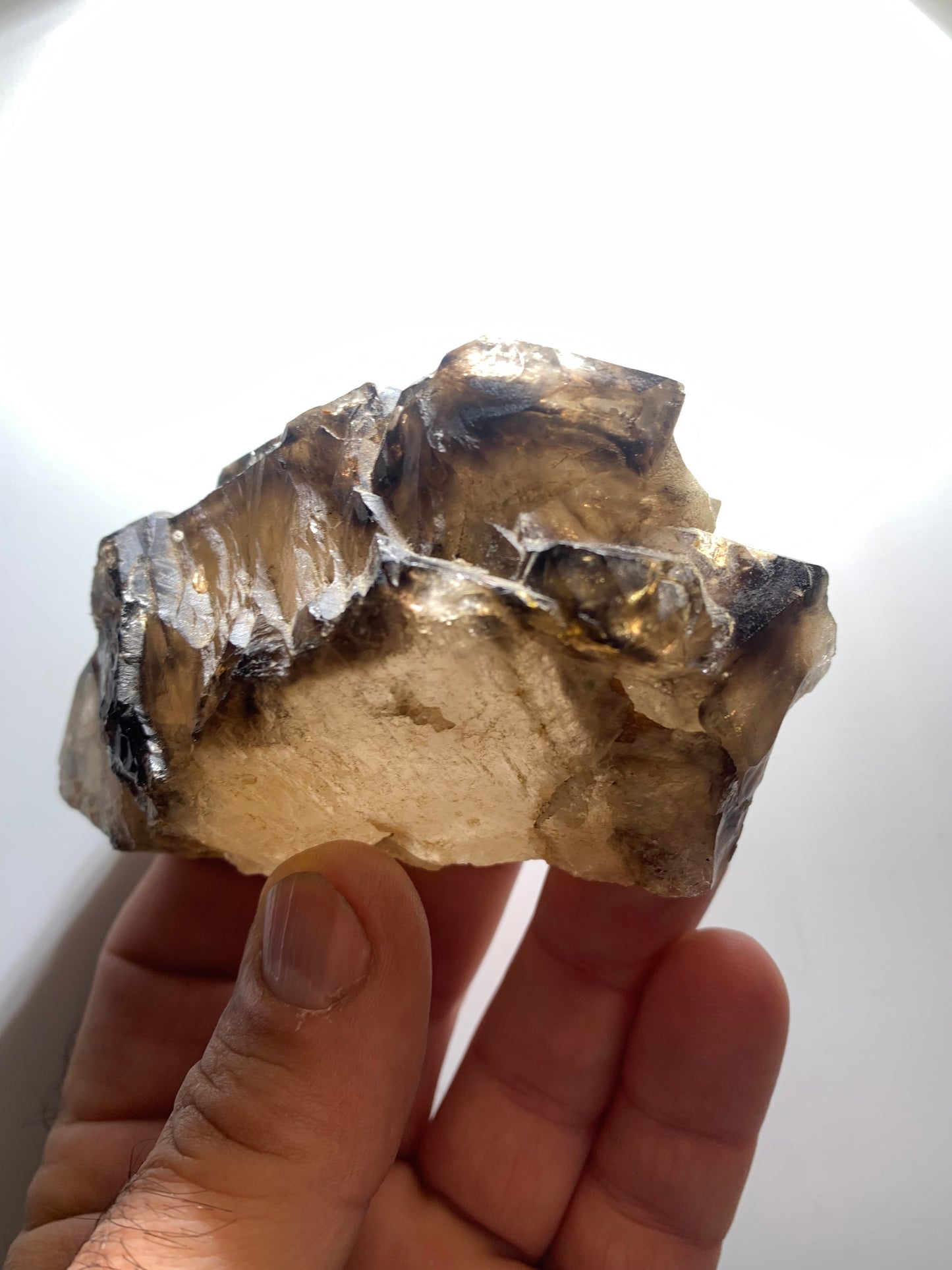 Quartz fumé (morion) à fenêtre ou quartz gwindel - Mont Blanc, France - 100 x 60 x 50 millimètres - 268,2 grammes !