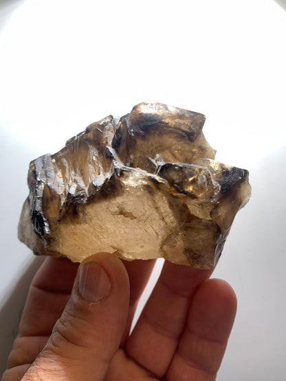 Quartz fumé (morion) à fenêtre ou quartz gwindel - Mont Blanc, France - 100 x 60 x 50 millimètres - 268,2 grammes !