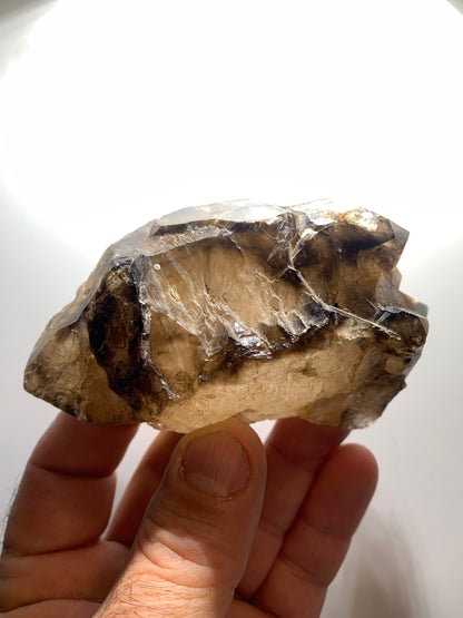 Quartz fumé (morion) à fenêtre ou quartz gwindel - Mont Blanc, France - 100 x 60 x 50 millimètres - 268,2 grammes !