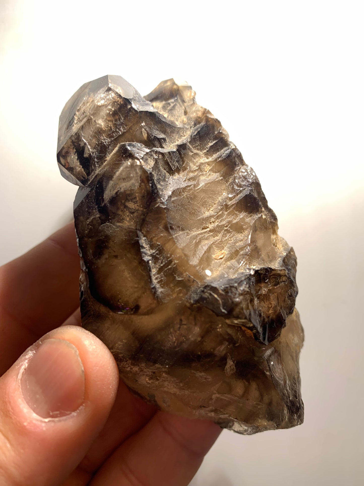 Quartz fumé (morion) à fenêtre ou quartz gwindel - Mont Blanc, France - 100 x 60 x 50 millimètres - 268,2 grammes !