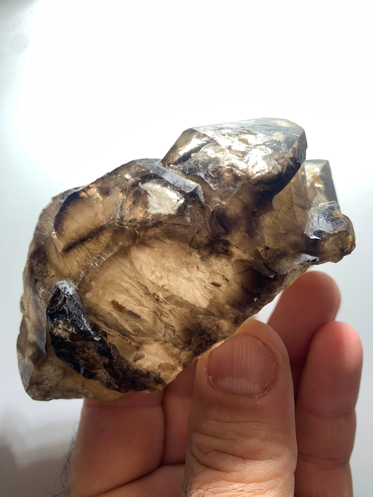 Quartz fumé (morion) à fenêtre ou quartz gwindel - Mont Blanc, France - 100 x 60 x 50 millimètres - 268,2 grammes !