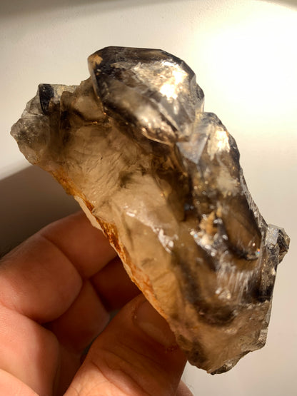 Quartz fumé (morion) à fenêtre ou quartz gwindel - Mont Blanc, France - 100 x 60 x 50 millimètres - 268,2 grammes !