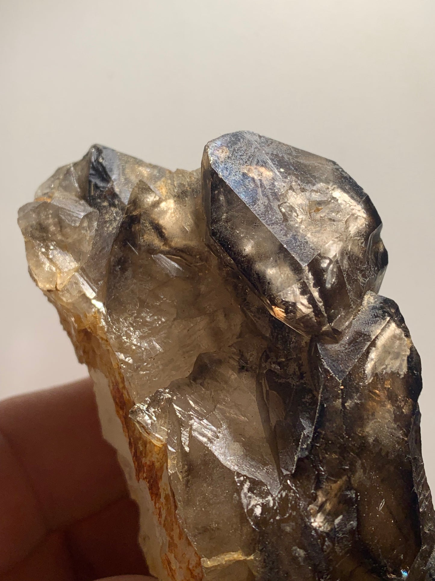 Quartz fumé (morion) à fenêtre ou quartz gwindel - Mont Blanc, France - 100 x 60 x 50 millimètres - 268,2 grammes !