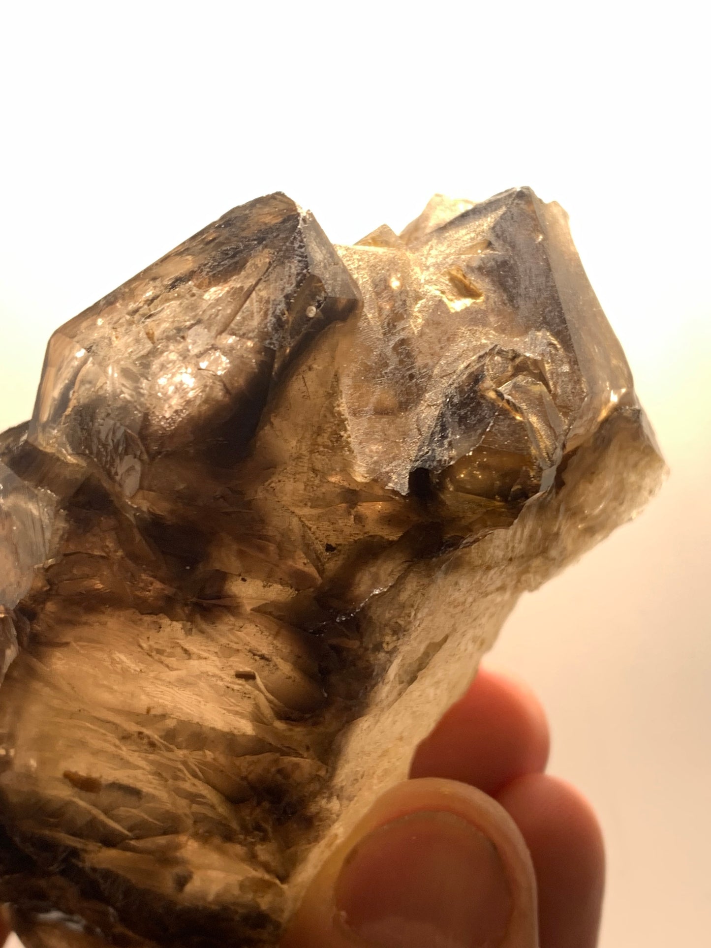 Quartz fumé (morion) à fenêtre ou quartz gwindel - Mont Blanc, France - 100 x 60 x 50 millimètres - 268,2 grammes !