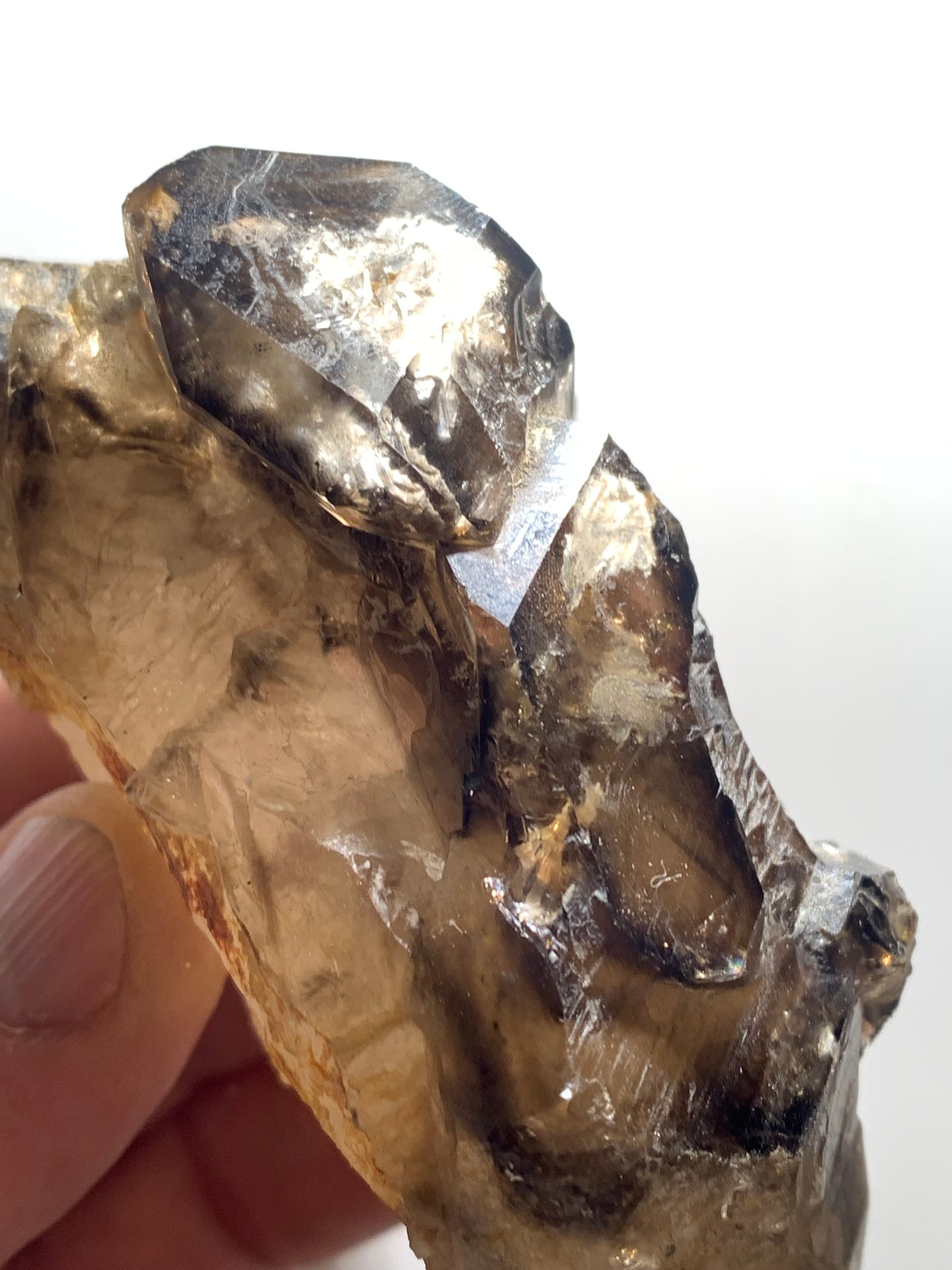 Quartz fumé (morion) à fenêtre ou quartz gwindel - Mont Blanc, France - 100 x 60 x 50 millimètres - 268,2 grammes !