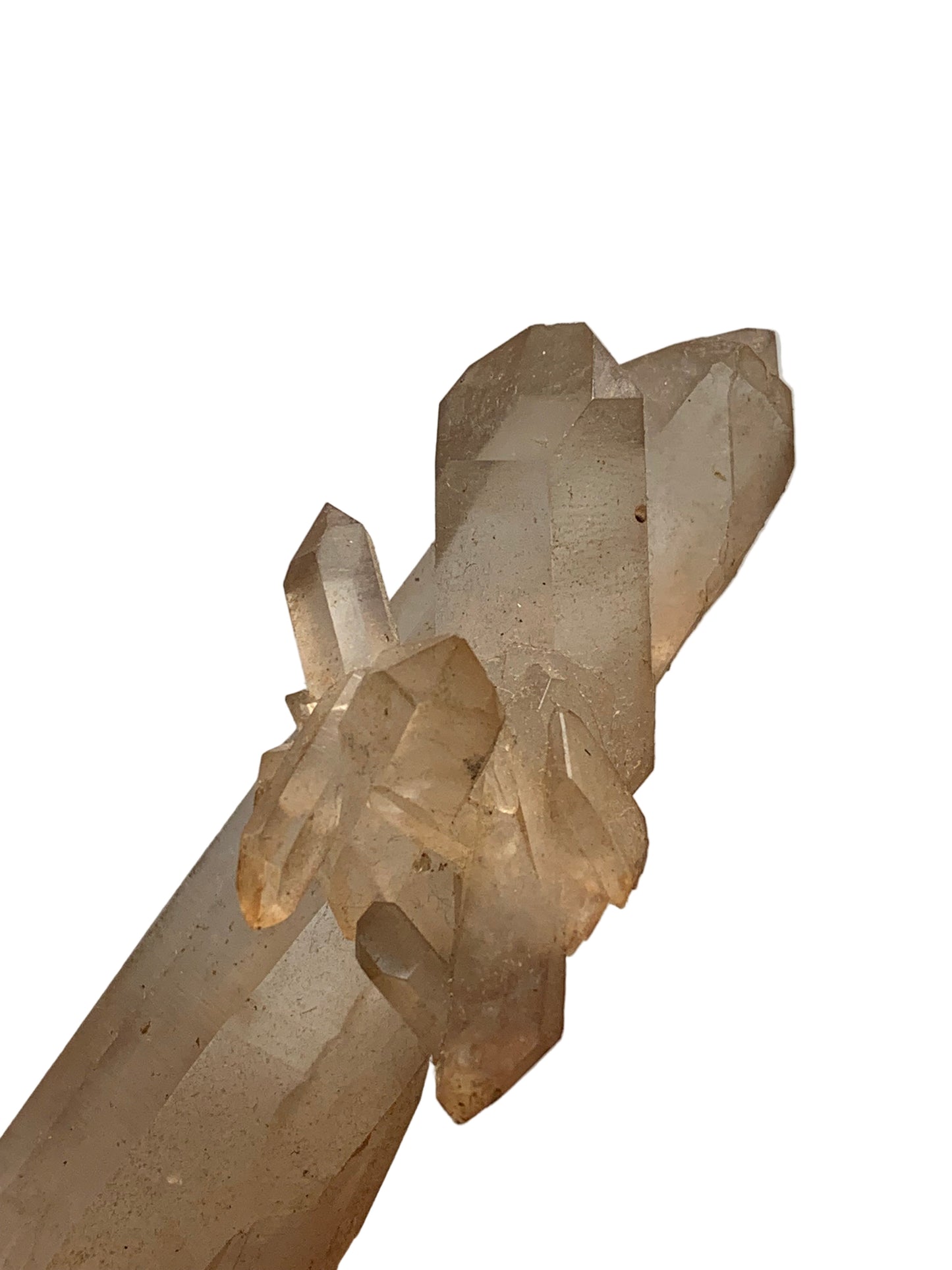 Cristal de roche - Pointe jumelée avec nid de cristaux - 104 L x 50 l x 32 mm - 134 grammes !