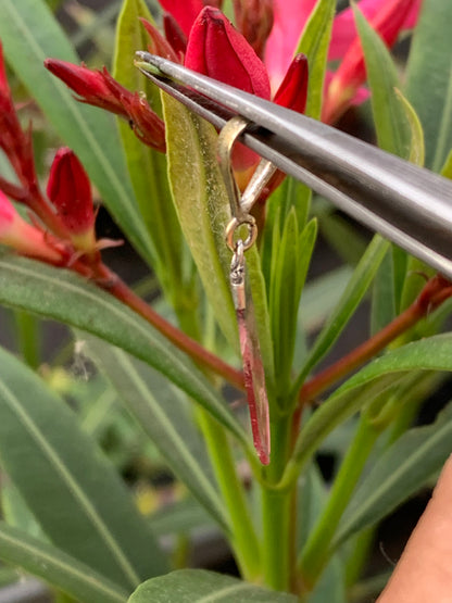 Tourmaline melon d'eau/ pastèque, pendentif en Argent de 36mm de hauteur x 14 de largeur x 2. Vendu avec cordon réglable de couleur noire !