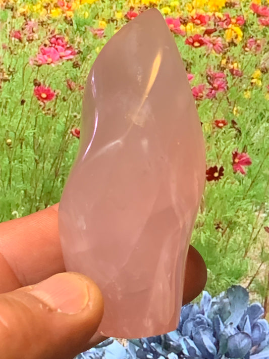 Quartz rose, Forme libre 'flammée' - 83 mm x 36 Ø - 137,5 gr. superbe pièce !