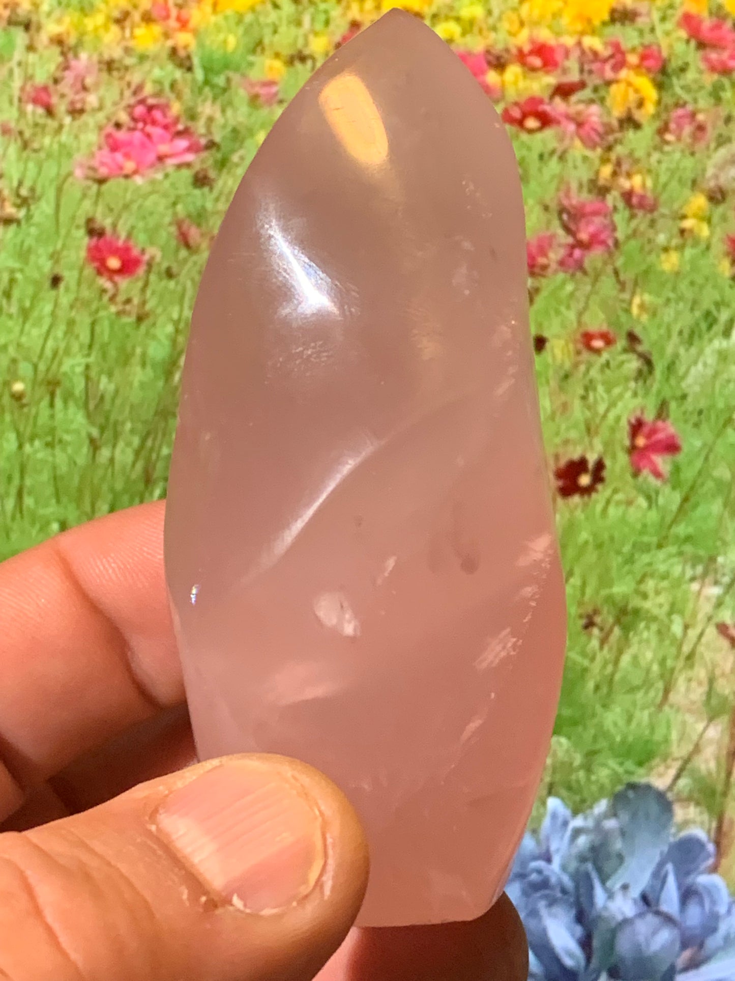 Quartz rose, Forme libre 'flammée' - 83 mm x 36 Ø - 137,5 gr. superbe pièce !