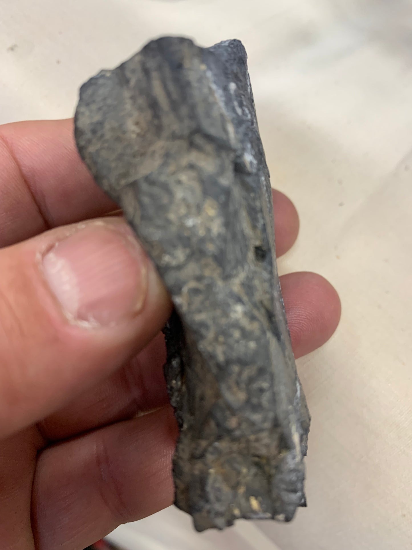 Shungite Petrovsky  – Pierre brute naturelle 75x55x25 mm, 40 g – Pièce rare et authentique !