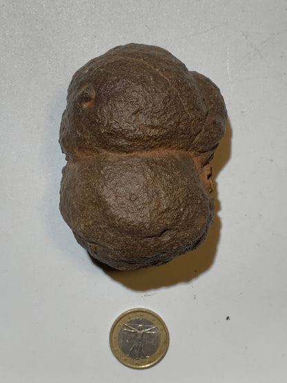 Boules de Moqui ou Pierres des Chamans - Paire unique de Ø 80 mm  – 601,5 g (les deux) – Pierre rare et exceptionnelle !