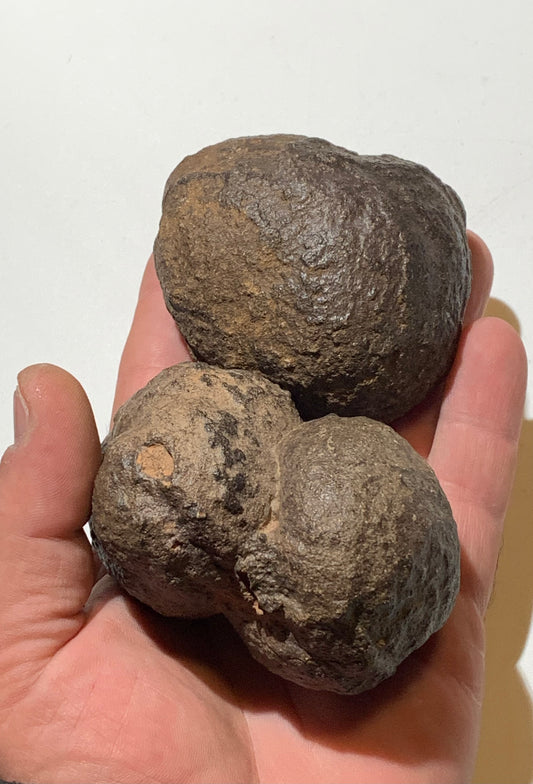 Boules de Moqui ou Pierres des Chamans - Paire unique de Ø 80 mm  – 601,5 g (les deux) – Pierre rare et exceptionnelle !