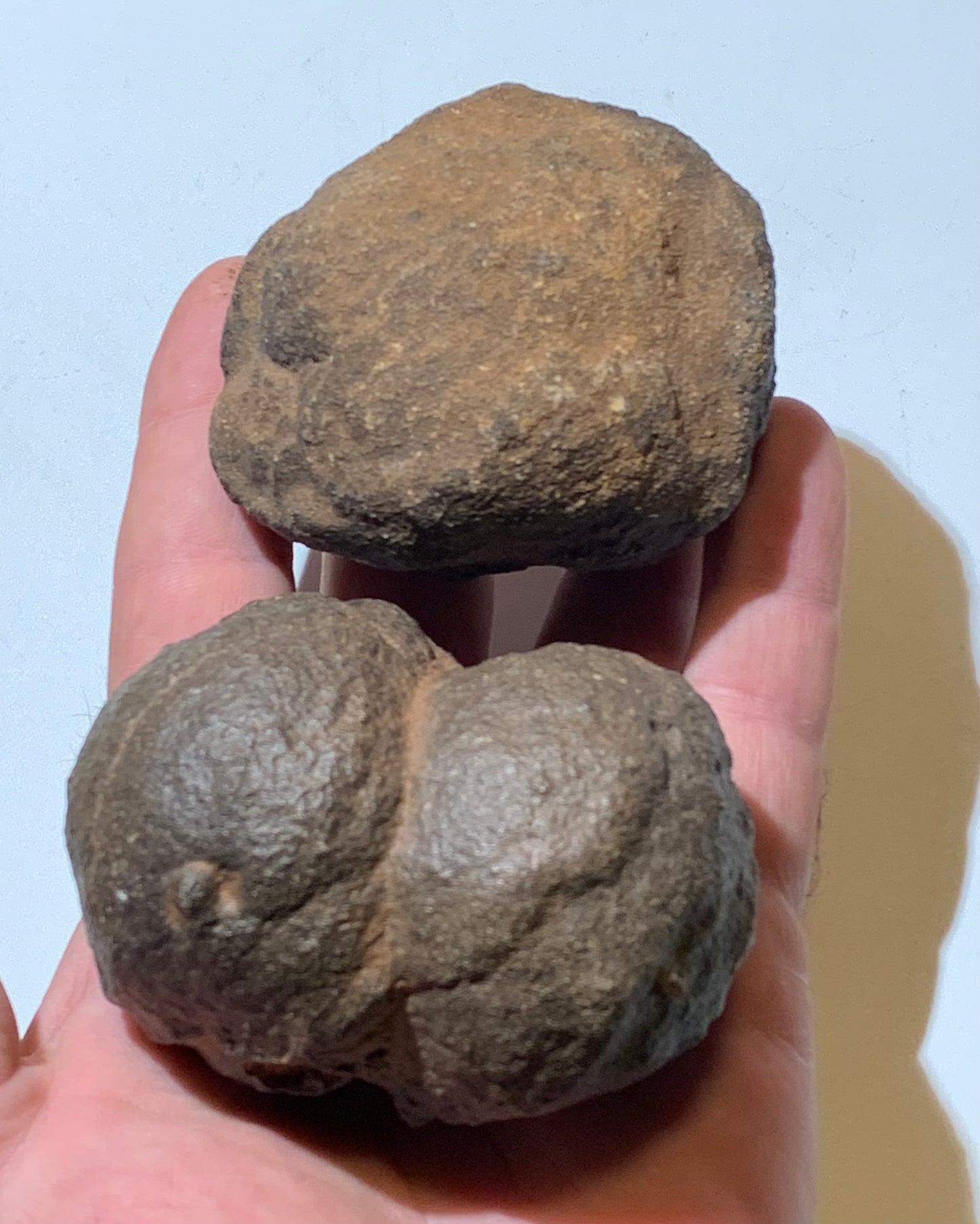 Boules de Moqui ou Pierres des Chamans - Paire unique de Ø 80 mm  – 601,5 g (les deux) – Pierre rare et exceptionnelle !