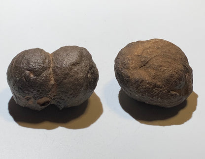 Boules de Moqui ou Pierres des Chamans - Paire unique de Ø 80 mm  – 601,5 g (les deux) – Pierre rare et exceptionnelle !