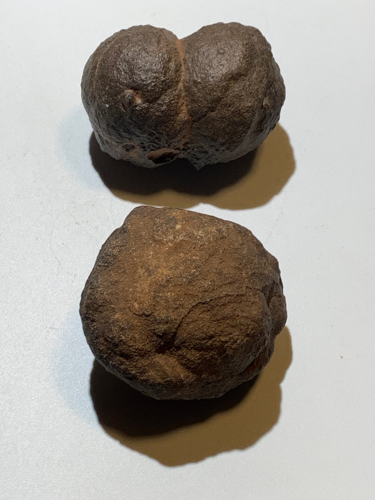 Boules de Moqui ou Pierres des Chamans - Paire unique de Ø 80 mm  – 601,5 g (les deux) – Pierre rare et exceptionnelle !