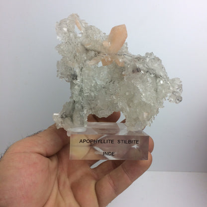 Apophyllite avec Stilbite sur socle – Superbe spécimen naturel, pièce de collection - 📽️ Vidéo disponible