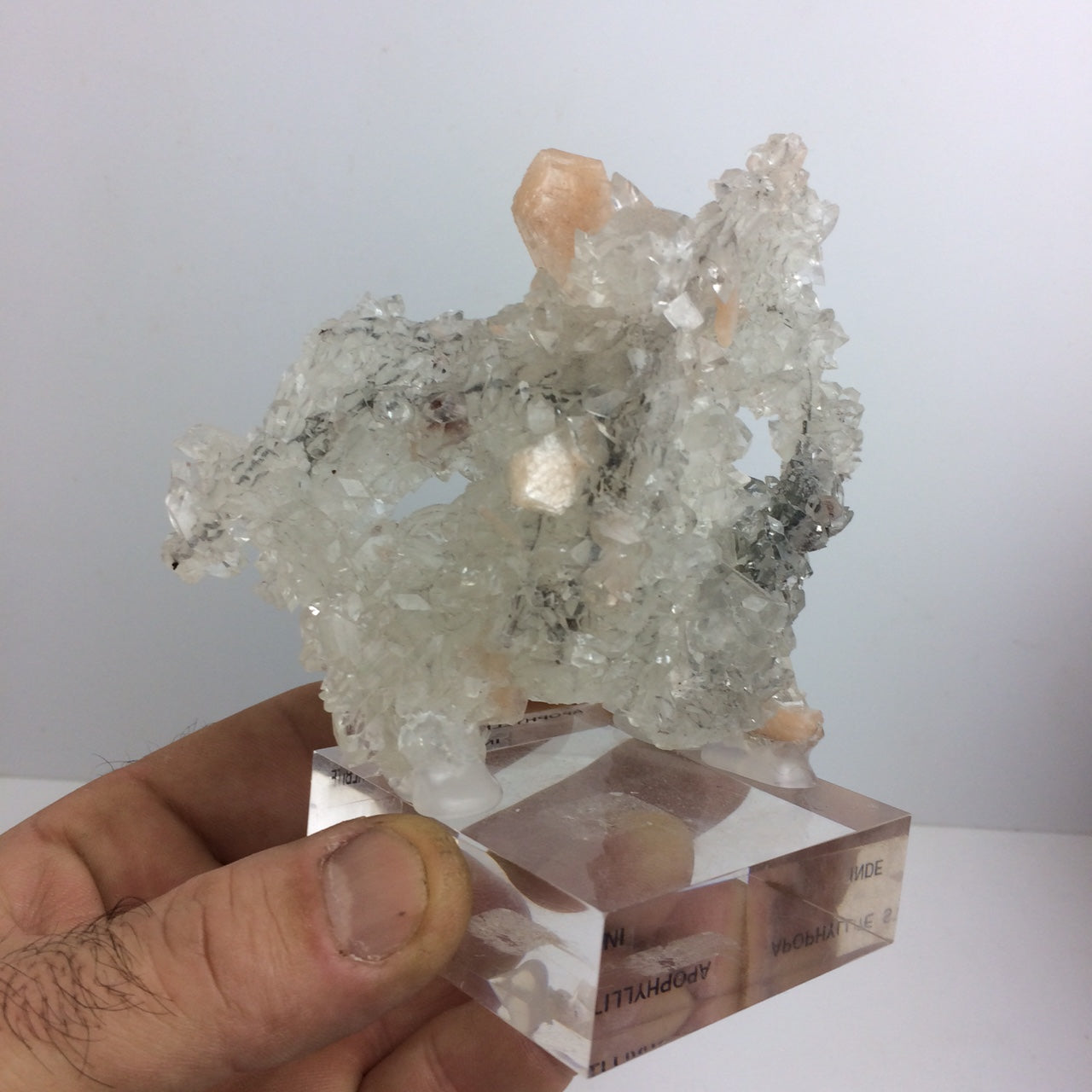 Apophyllite avec Stilbite sur socle – Superbe spécimen naturel, pièce de collection - 📽️ Vidéo disponible