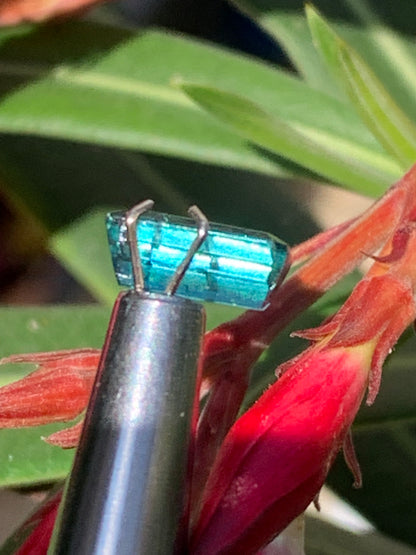 Tourmaline bleue/ Indicolite, pierre taillée de 10mm x 5 x 4 - 1,5 carat. Parfait en bijouterie, collection ,exposition...