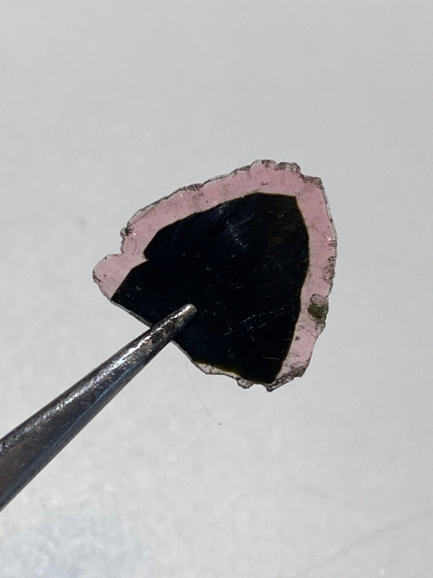 Tourmaline melon d'eau/ pastèque, 15mm x 15 x 1 - 4,5 carats. Parfait en bijouterie, collection, exposition...