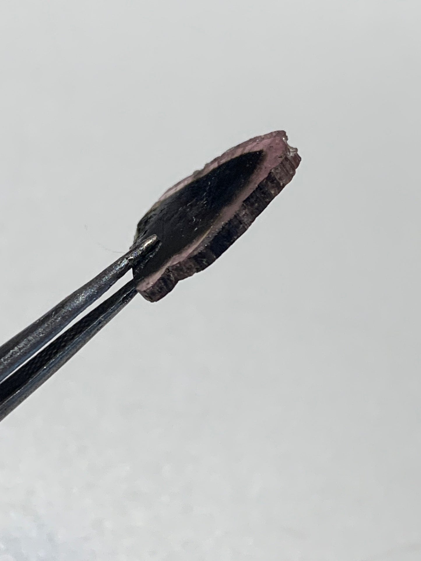 Tourmaline melon d'eau/ pastèque, 15mm x 15 x 1 - 4,5 carats. Parfait en bijouterie, collection, exposition...