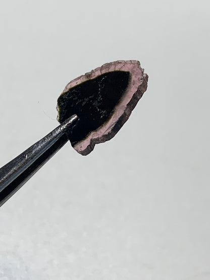 Tourmaline melon d'eau/ pastèque, 15mm x 15 x 1 - 4,5 carats. Parfait en bijouterie, collection, exposition...