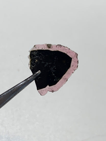 Tourmaline melon d'eau/ pastèque, 15mm x 15 x 1 - 4,5 carats. Parfait en bijouterie, collection, exposition...