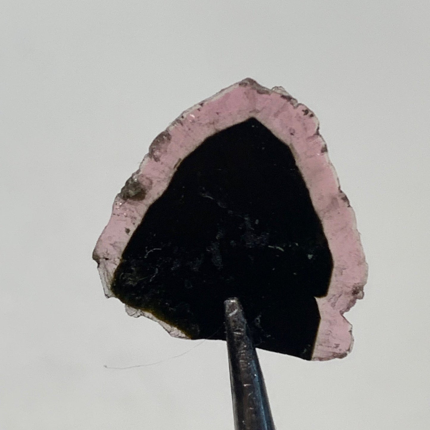 Tourmaline melon d'eau/ pastèque, 15mm x 15 x 1 - 4,5 carats. Parfait en bijouterie, collection, exposition...