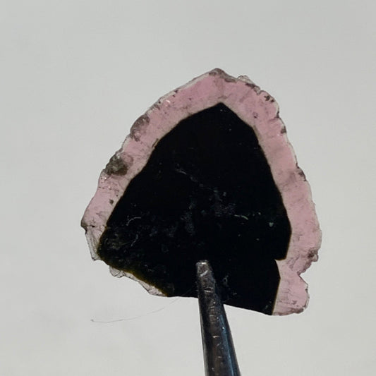 Tourmaline melon d'eau/ pastèque, 15mm x 15 x 1 - 4,5 carats. Parfait en bijouterie, collection, exposition...