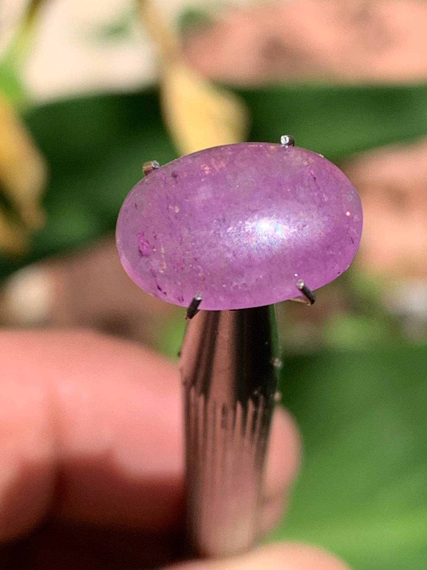 Améthyste, cabochon de 10mm x 5 x 4 - 1,5 carats Parfait en bijouterie, collection ,exposition...