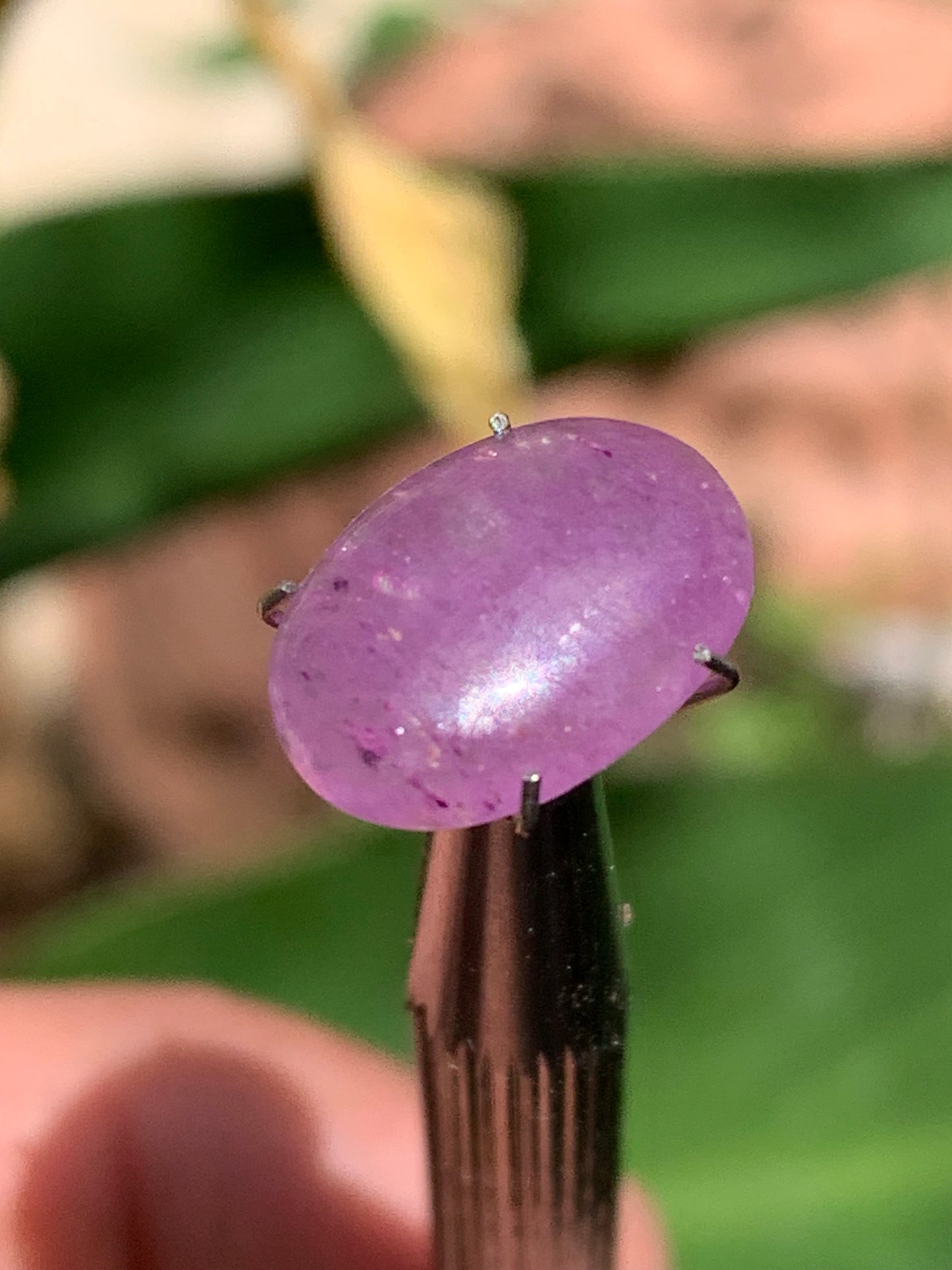 Améthyste, cabochon de 10mm x 5 x 4 - 1,5 carats Parfait en bijouterie, collection ,exposition...