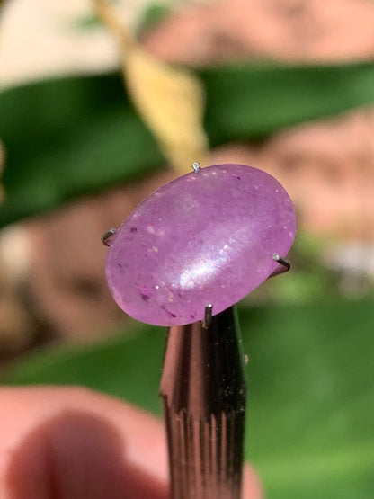 Améthyste, cabochon de 10mm x 5 x 4 - 1,5 carats Parfait en bijouterie, collection ,exposition...
