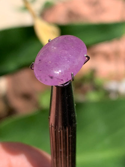 Améthyste, cabochon de 10mm x 5 x 4 - 1,5 carats Parfait en bijouterie, collection ,exposition...