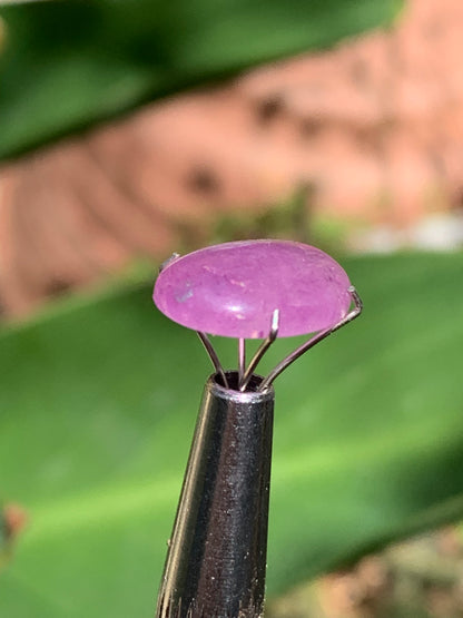 Améthyste, cabochon de 10mm x 5 x 4 - 1,5 carats Parfait en bijouterie, collection ,exposition...