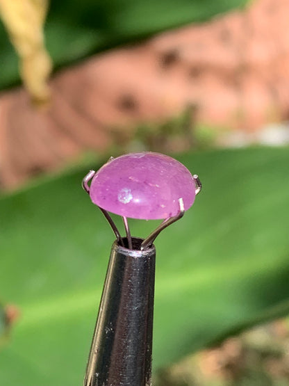 Améthyste, cabochon de 10mm x 5 x 4 - 1,5 carats Parfait en bijouterie, collection ,exposition...