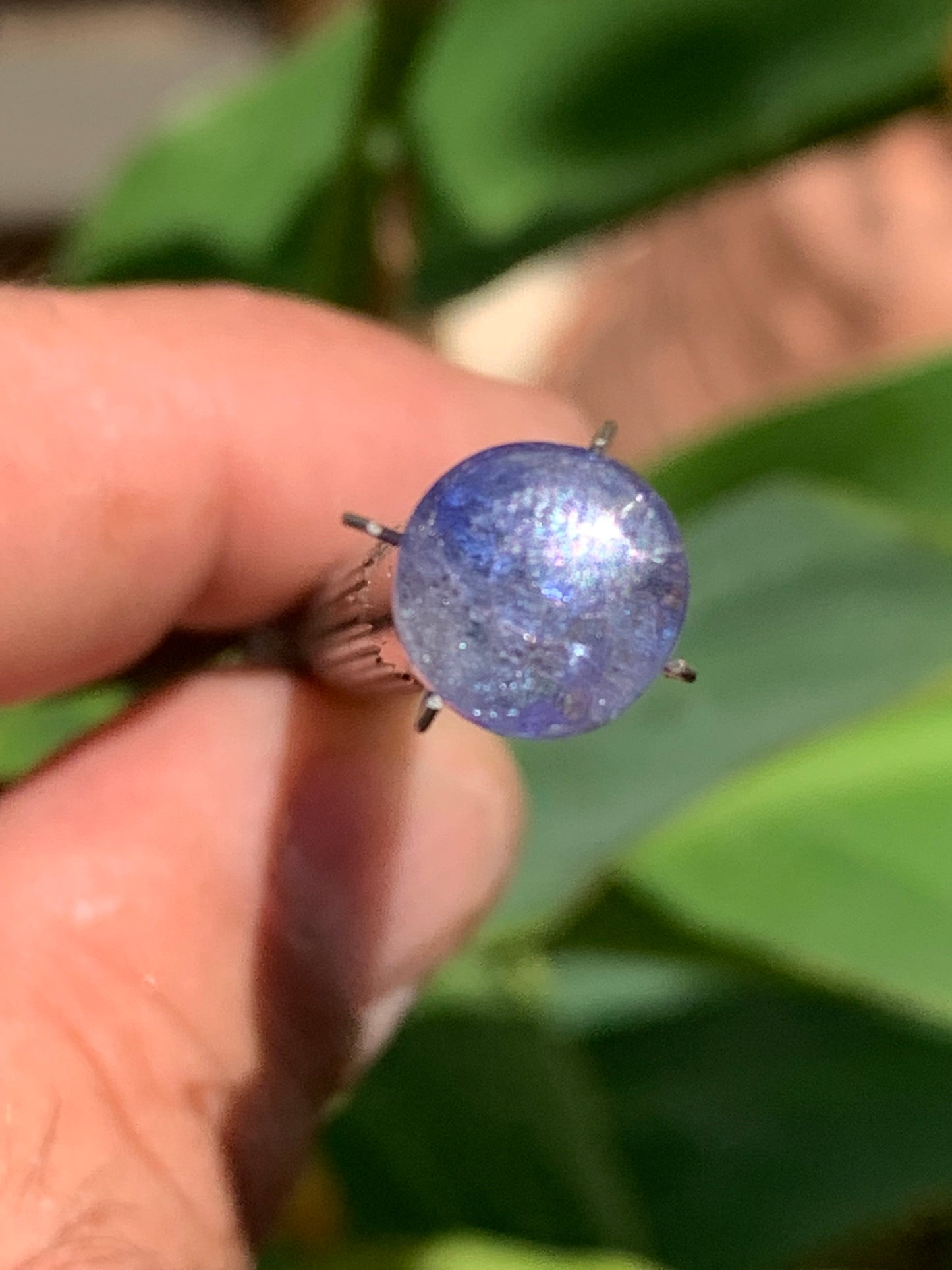 Cyanite disthène, cabochon de 10mm de diamètre x 5 - 4,5 carats. Parfait en bijouterie, collection, exposition...