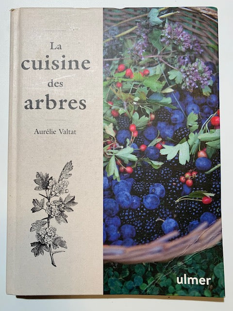 Livre relié : La cuisine des arbres par Aurélie Valtat | Chez les Editions Ulmer