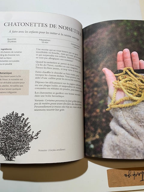 Livre relié : La cuisine des arbres par Aurélie Valtat | Chez les Editions Ulmer