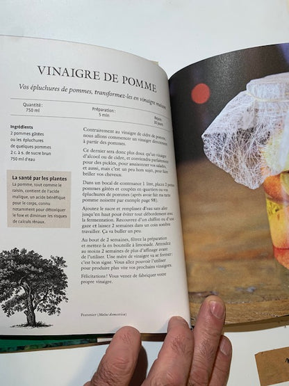 Livre relié : La cuisine des arbres par Aurélie Valtat | Chez les Editions Ulmer