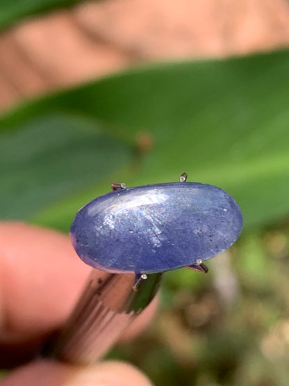 Cyanite disthène, cabochon de 15mm x 8 x 4 - 5 carats. Parfait en bijouterie, collection ,exposition...