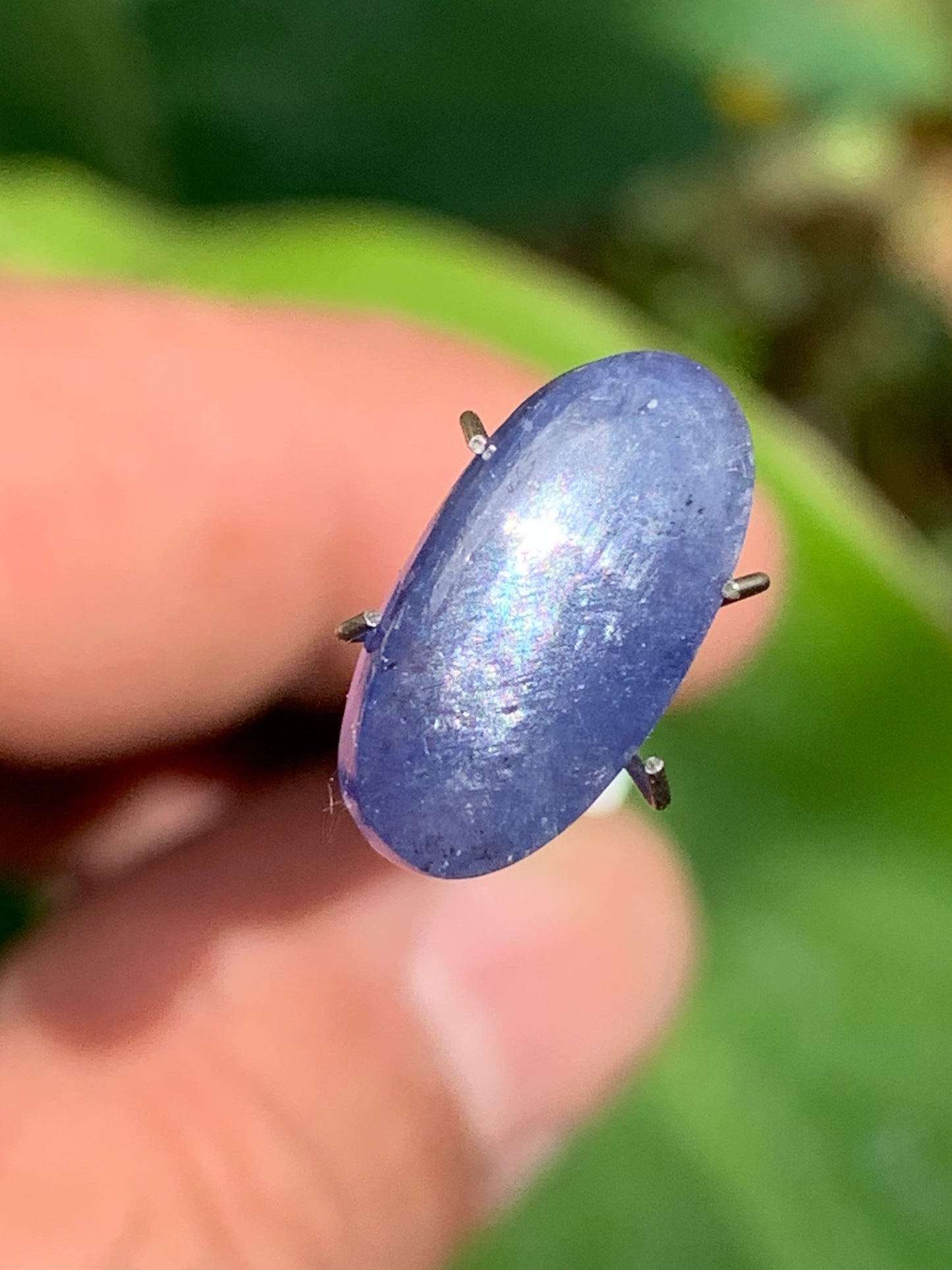 Cyanite disthène, cabochon de 15mm x 8 x 4 - 5 carats. Parfait en bijouterie, collection ,exposition...