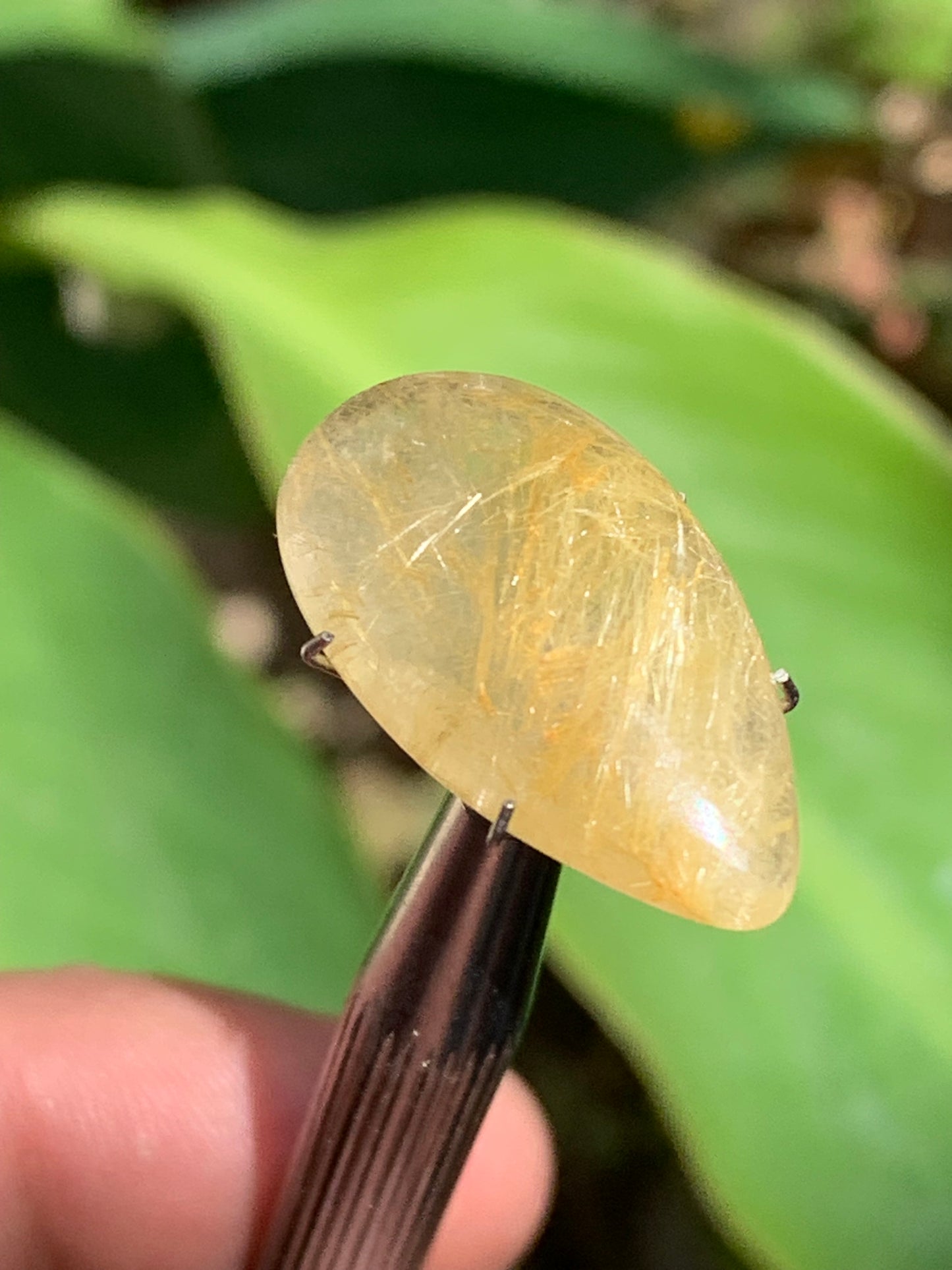 Cristal de roche/ quartz à rutiles dorés, cabochon de 25mm x15 x6 - 15,5 carats. Parfait en bijouterie, collection ,exposition...