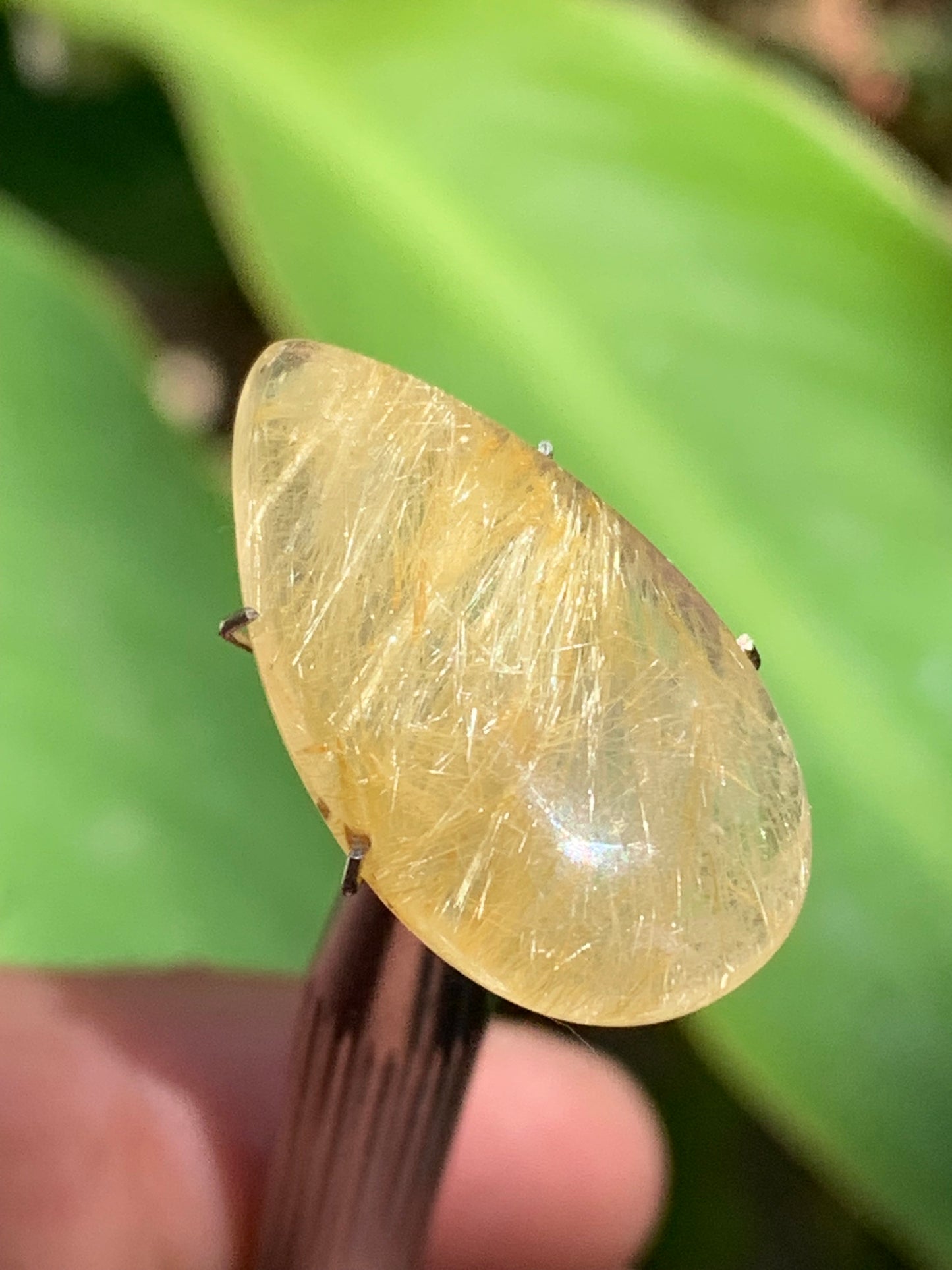 Cristal de roche/ quartz à rutiles dorés, cabochon de 25mm x15 x6 - 15,5 carats. Parfait en bijouterie, collection ,exposition...