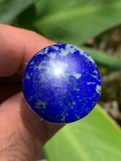 Lapis lazuli, cabochon de 25mm x25 x6 - 29,5 carats. Parfait en bijouterie, collection ,exposition...