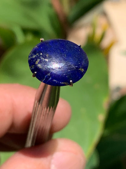 Lapis lazuli, cabochon de 15mm x13 x5 - 6,5 carats. Parfait en bijouterie, collection ,exposition...