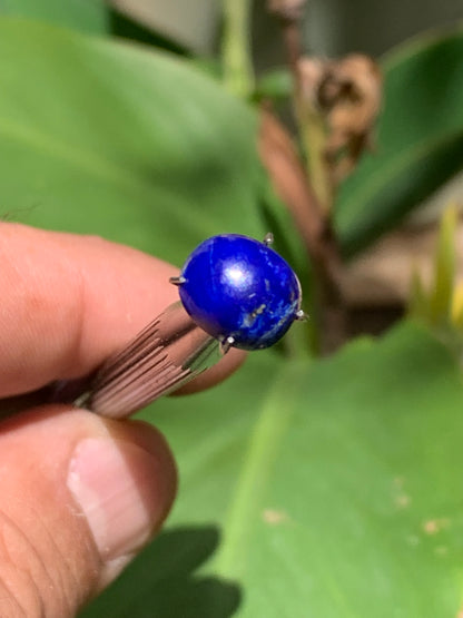 Lapis lazuli, cabochon de 10mm x9 x5 - 3,5 carats. Parfait en bijouterie, collection ,exposition...