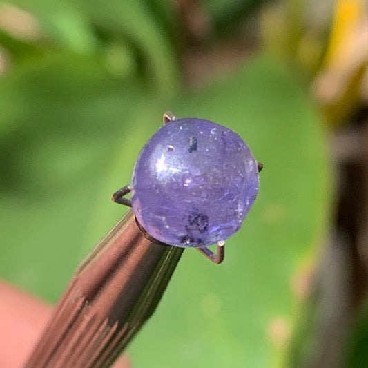 Tanzanite/ Zoïsite bleue, cabochon de 10mm de diamètre x 5 - 3,5 carats. Parfait en bijouterie, collection ,exposition...