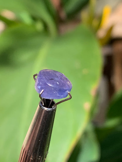 Tanzanite/ Zoïsite bleue, cabochon de 10mm de diamètre x 5 - 3,5 carats. Parfait en bijouterie, collection ,exposition...