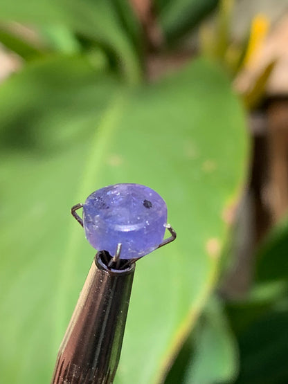 Tanzanite/ Zoïsite bleue, cabochon de 10mm de diamètre x 5 - 3,5 carats. Parfait en bijouterie, collection ,exposition...