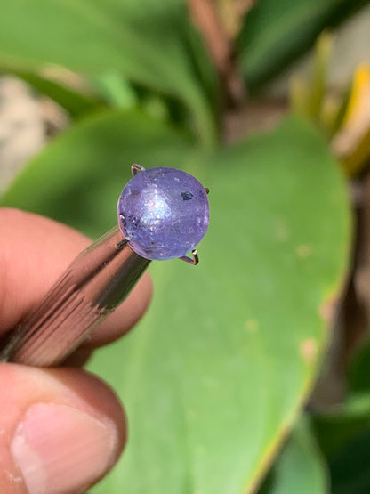 Tanzanite/ Zoïsite bleue, cabochon de 10mm de diamètre x 5 - 3,5 carats. Parfait en bijouterie, collection ,exposition...
